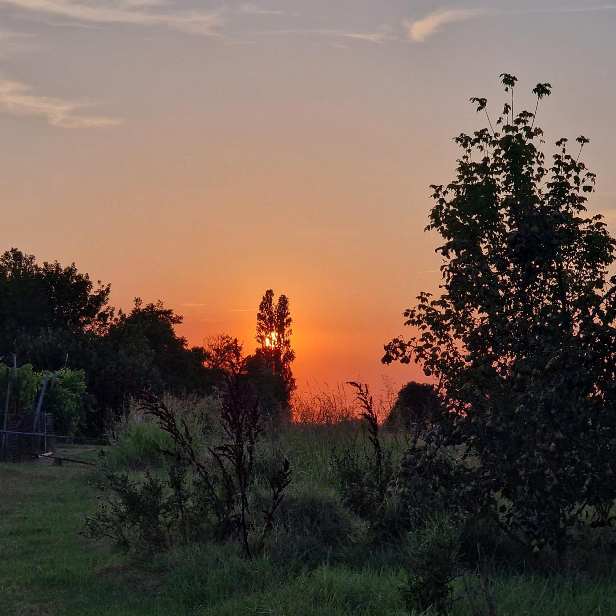 Appartamento Divino Tramonto Altedo Dış mekan fotoğraf