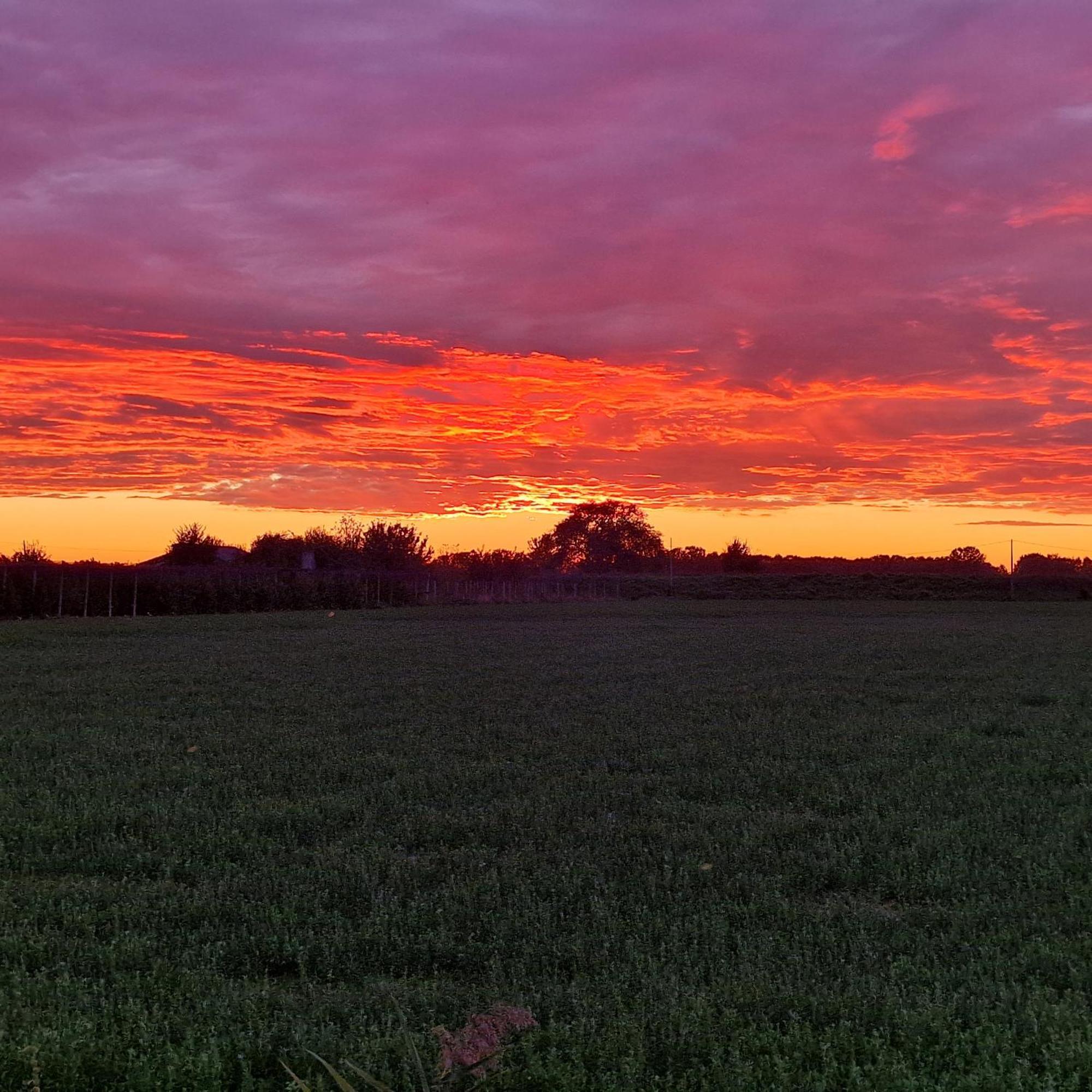 Appartamento Divino Tramonto Altedo Dış mekan fotoğraf