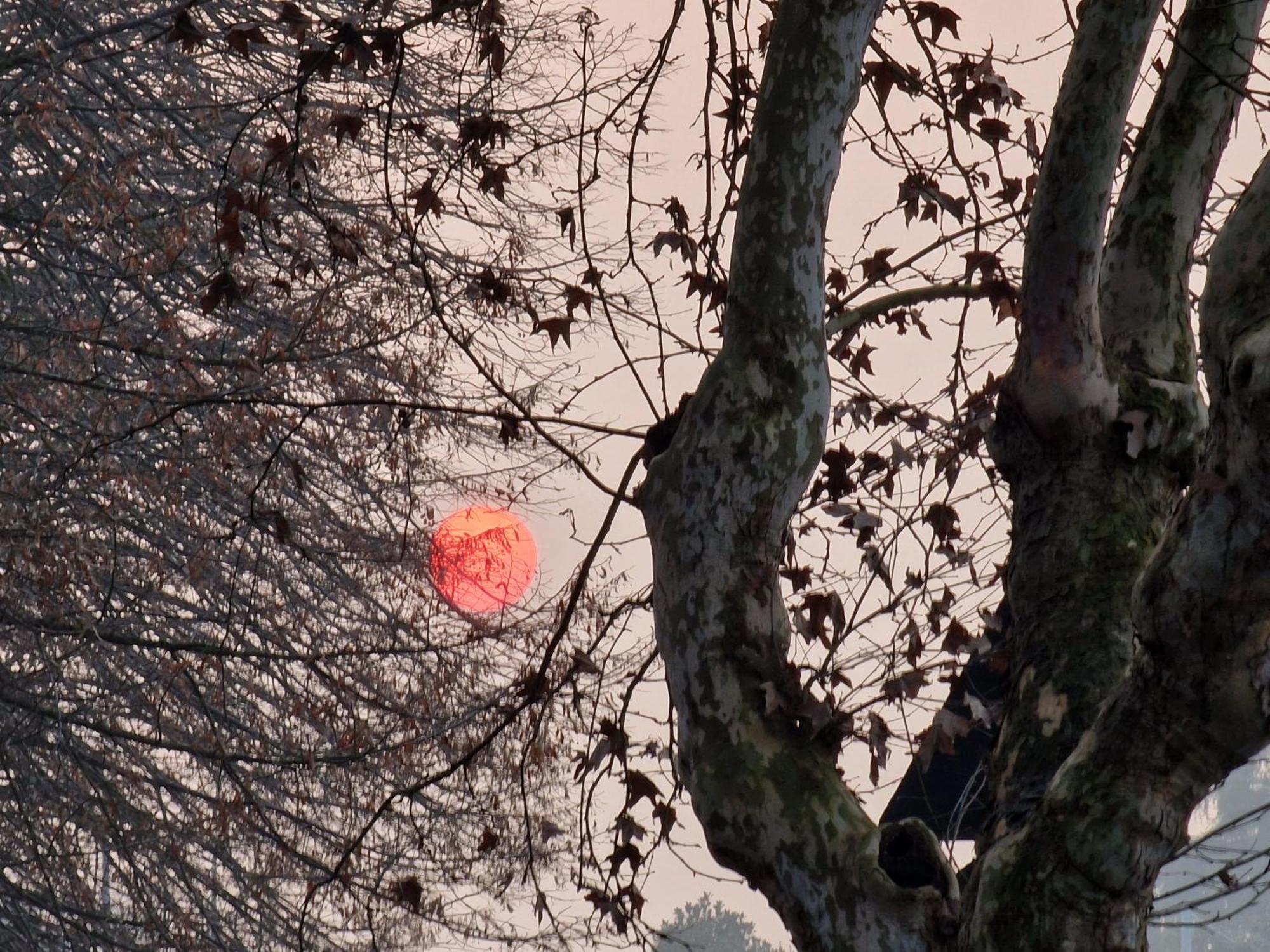 Appartamento Divino Tramonto Altedo Dış mekan fotoğraf